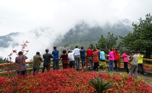 寨头 采风_副本.jpg