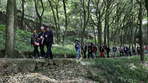 ͼƬ_20170512122234_.jpg ͼƬ_20170512122234_.jpg